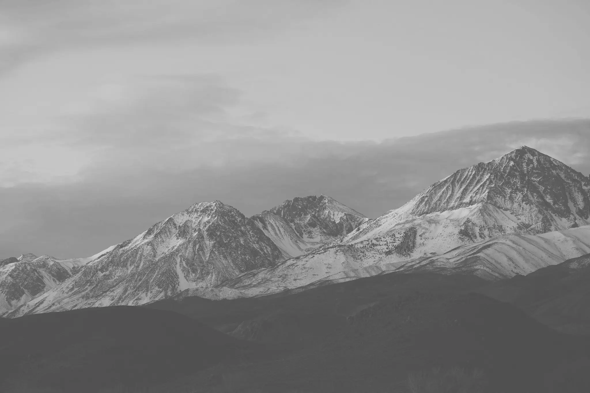 效果图