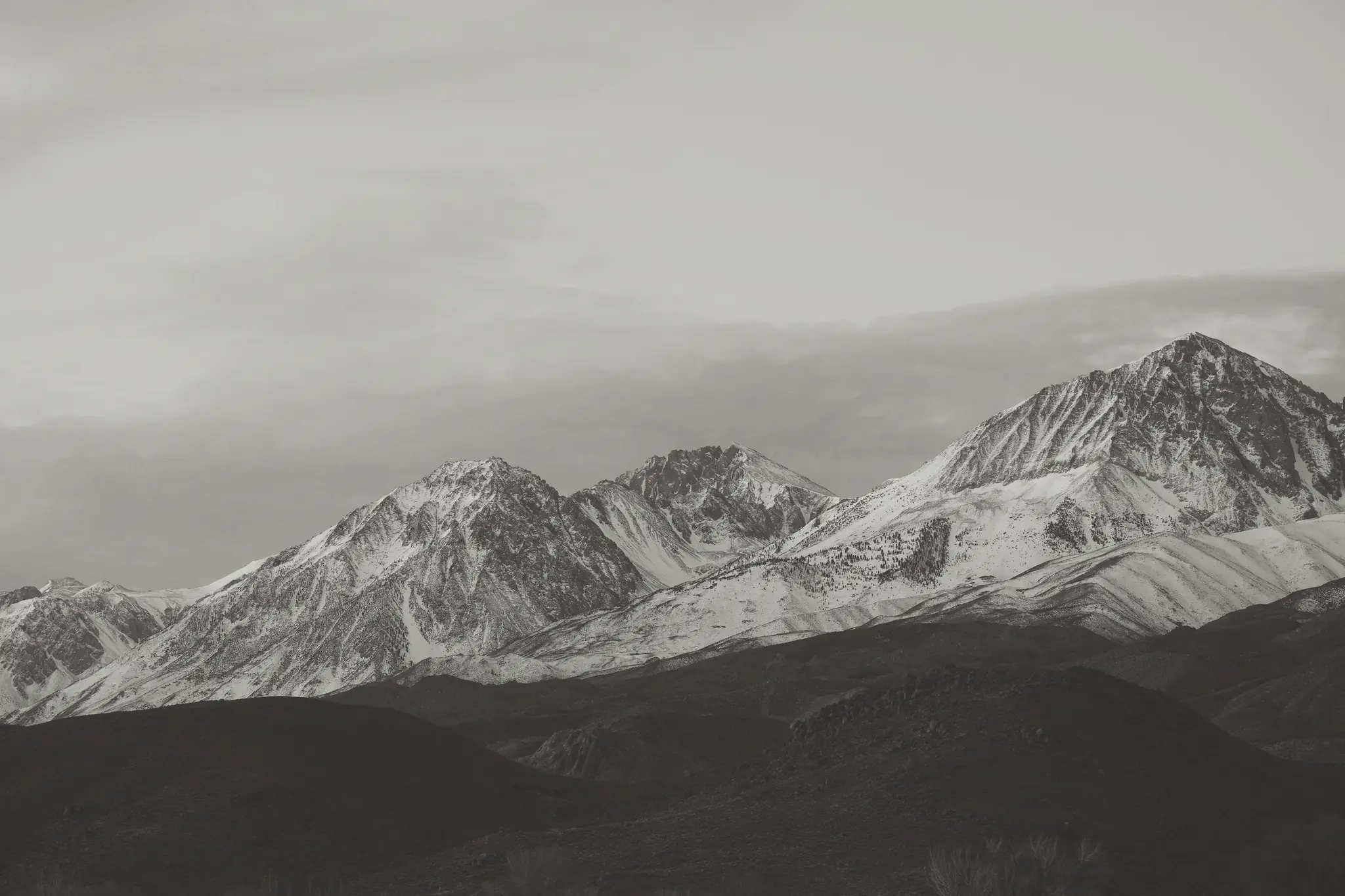 效果图